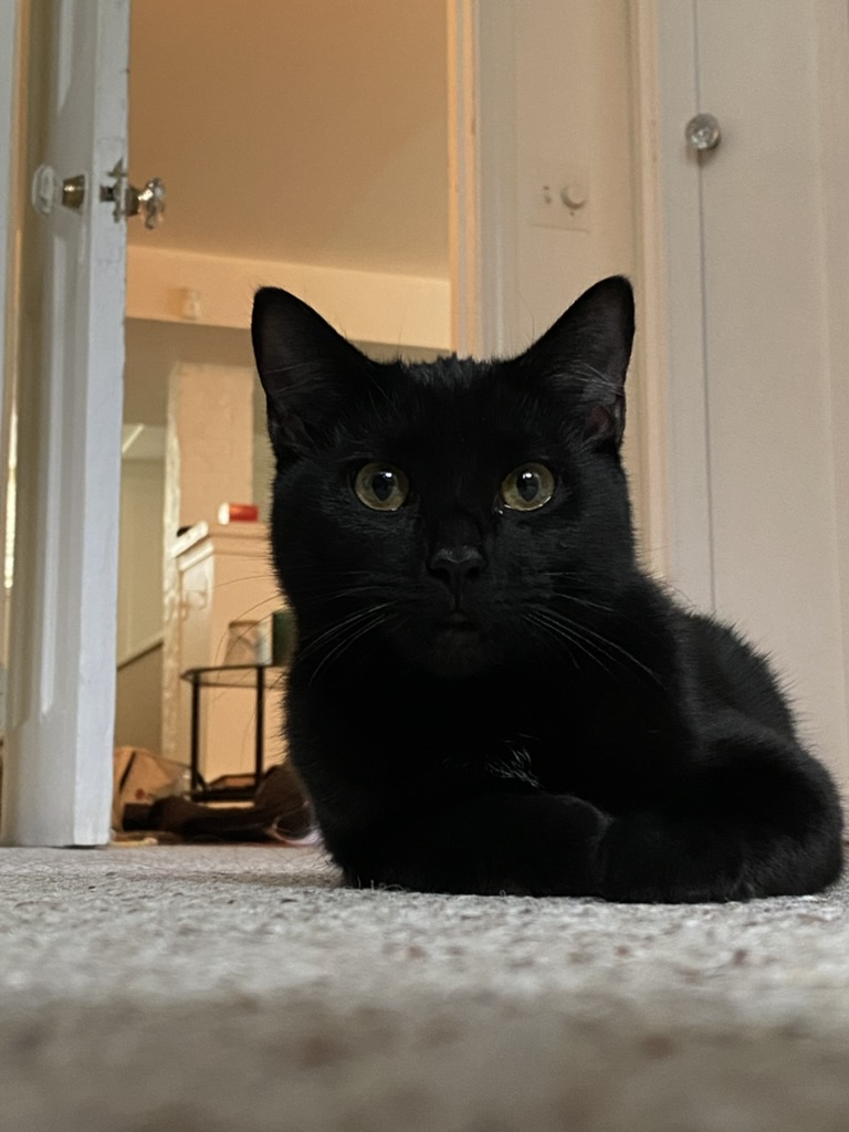 Boba on her first day